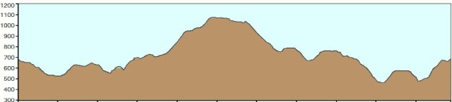 perfil2013 alpandeire