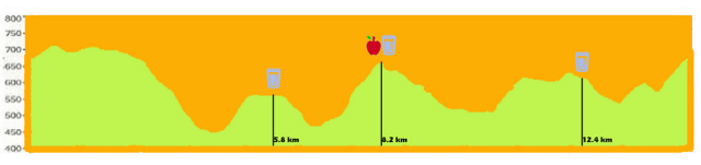 VIII CxM alpandeire 2014 | rendimientofisico10.com