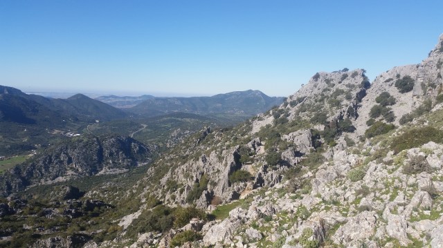 cxm nutrias pantaneras 2015 | rendimienofisico10.com