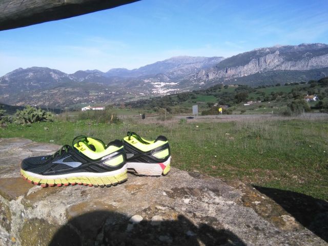 Brooks Adrenaline GTS 16 review