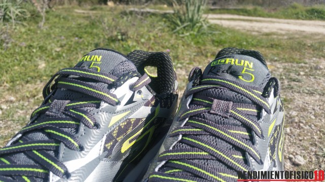 skechers go run ride 5 | rendimientofisico10